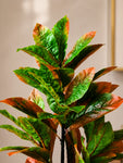 Artificial Croton Plant | 66 cm | 43 Leaves