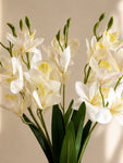 Artificial Cymbidium Orchid Flower Bunch | White | 57 cm