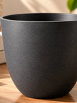 Black Round Planter | 17 cm | Set of 5