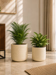 Textured Planter Set | Off White | 30 cm and 24 cm