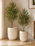 Ribbed Planter Set | Off White | 31 cm and 26 cm