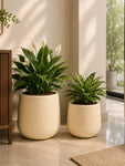 Textured Plain Cream Planters | 22 cm, 30 cm | Set of 2