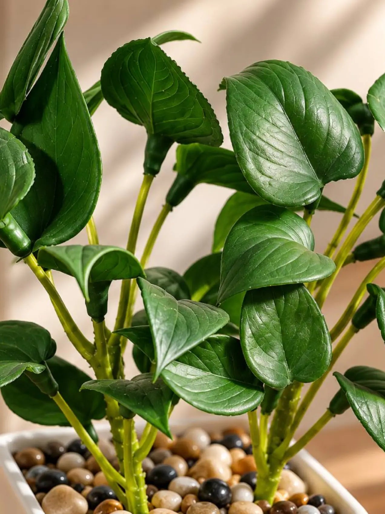 Artificial Money Plant Succulent | Dark Green | 18 cm | With Basic Black Pot