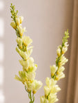 Artificial Orchid Flower Stick | Off White | 106 cm | Set of 2