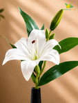 Artificial Lily Flower Stick | White | 35 cm | Set of 2