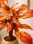 Artificial Tabletop Plant | Autumn | 25 cm | Ceramic Pot