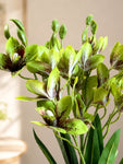 Artificial Cymbidium Orchid Flower Bunch | Green | 57 cm