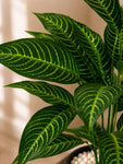 Artificial Green Iceton Croton Plant | 66 cm | 26 Leaves | With Basic Pot