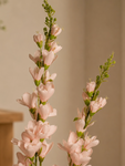 Artificial Orchid Flower Stick | Light Pink | 106 cm