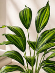 Artificial Cast-Iron Plant | 74 cm | 26 Leaves | With Basic Pot
