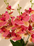 Orchid Bunch | Pink | 44 cm
