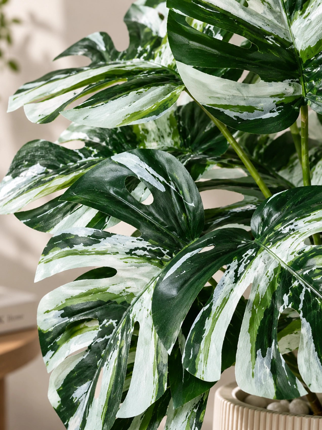 Artificial Monstera Plant | Green-White Leaves | 50 cm | 12 Leaves | With Basic Pot