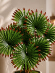 Artificial Fan Palm Plant | Patterned Green & Red Leaves | 52 cm | 12 Leaves | With Basic Black Pot