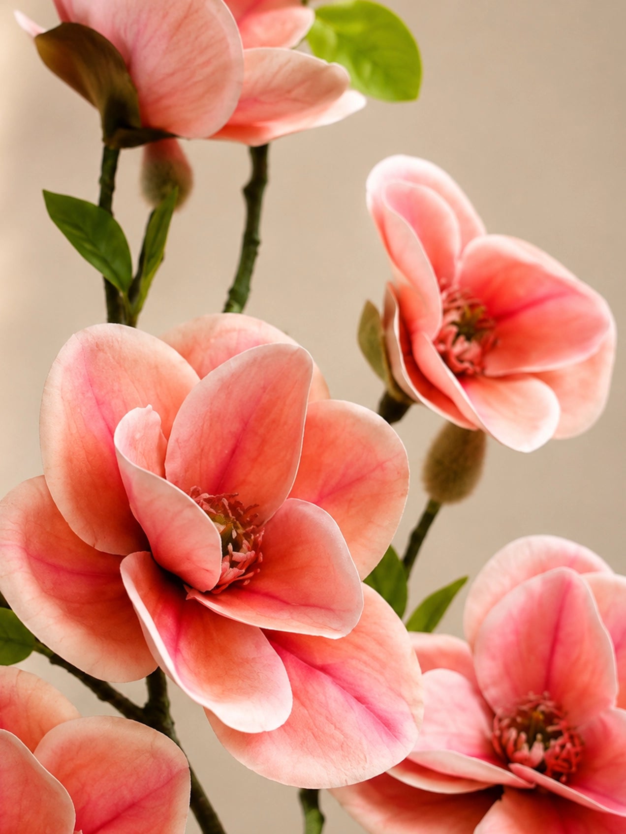 Magnolia Flower Stick | Pink | 72 cm | Set of 2