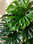 Artificial Monstera Plant | Light Green Leaves | 65 cm | 18 Leaves | With Basic Black Pot
