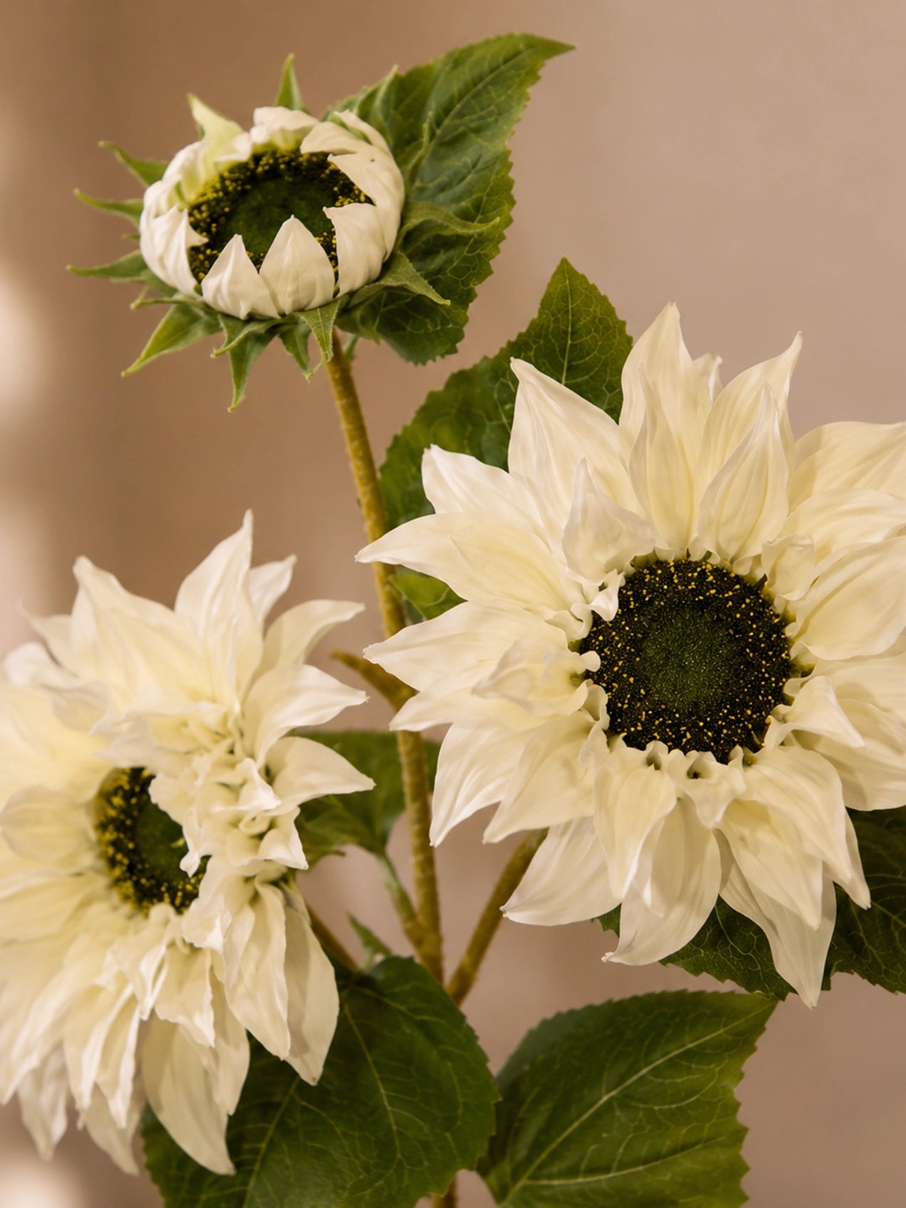 Artificial Sunflower Stick | White | 78 cm | Set of 2