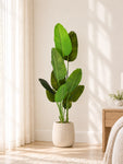 Artificial Banana Leaf Plant | 178 cm | With Basic Black Pot