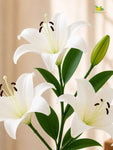 Artificial Lily Flower Stick | White | 78 cm
