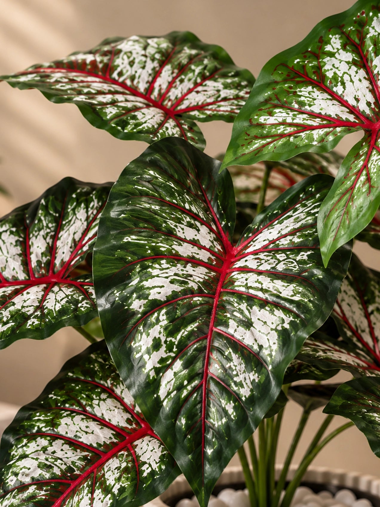 Artificial Caladium Plant | Green, Pink & White Patterned Leaves | 52 cm | 12 Leaves | With Basic Black Pot