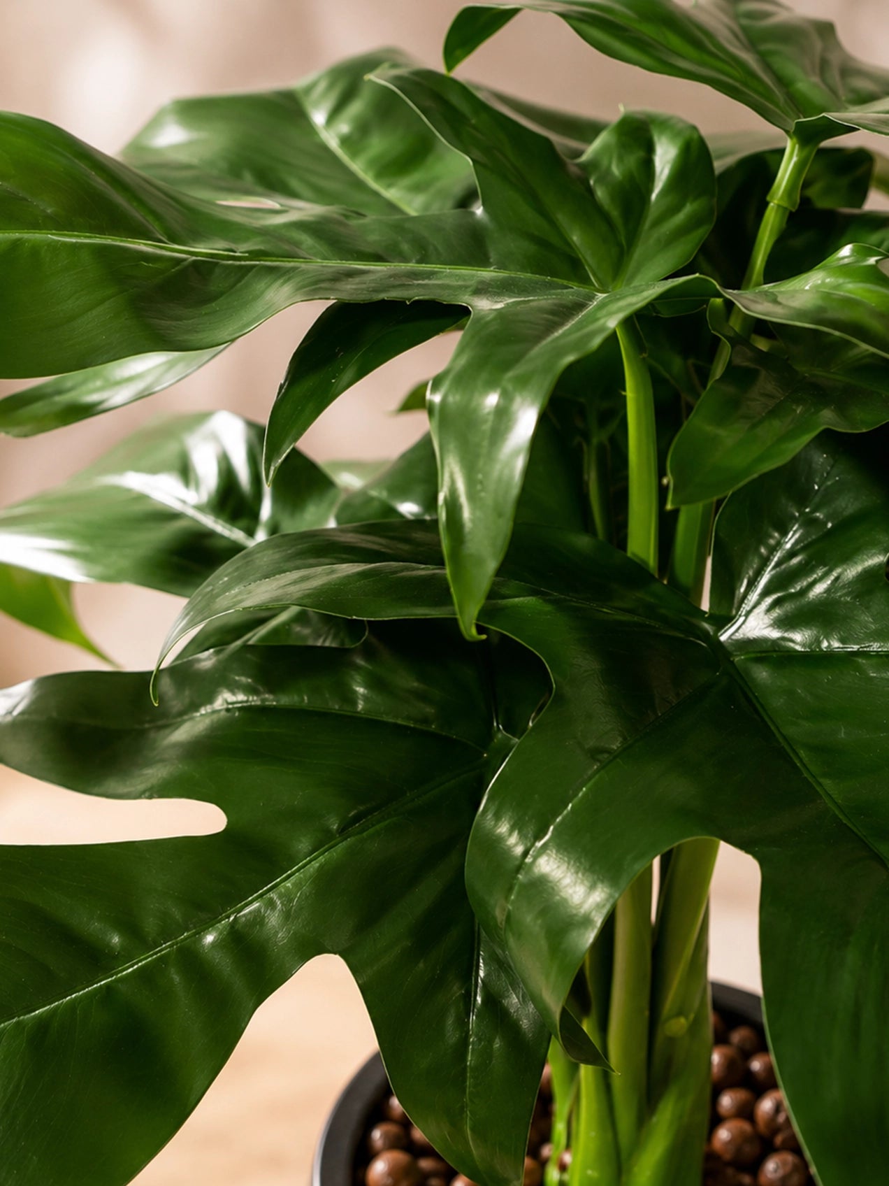 Artificial Tabletop Plant | Green | 25 cm | Ceramic Pot