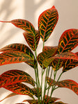 Artificial Red Iceton Croton Plant | 74 cm | 26 Leaves | With Basic Pot