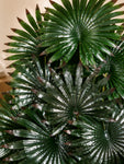 Artificial Fan Palm Plant | Patterned Green & Red Leaves | 75 cm | 18 Leaves | With Basic Black Pot