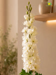 Delphinium Flower Stick | White | 88 cm