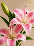 Artificial Lily Flower Stick | Pink | 35 cm