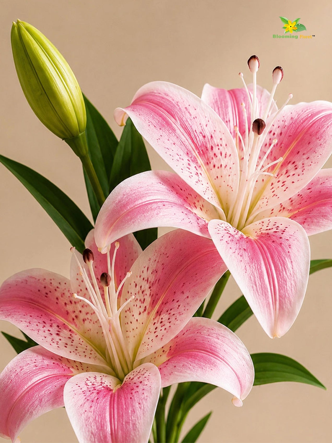 Artificial Lily Flower Stick | Pink | 35 cm