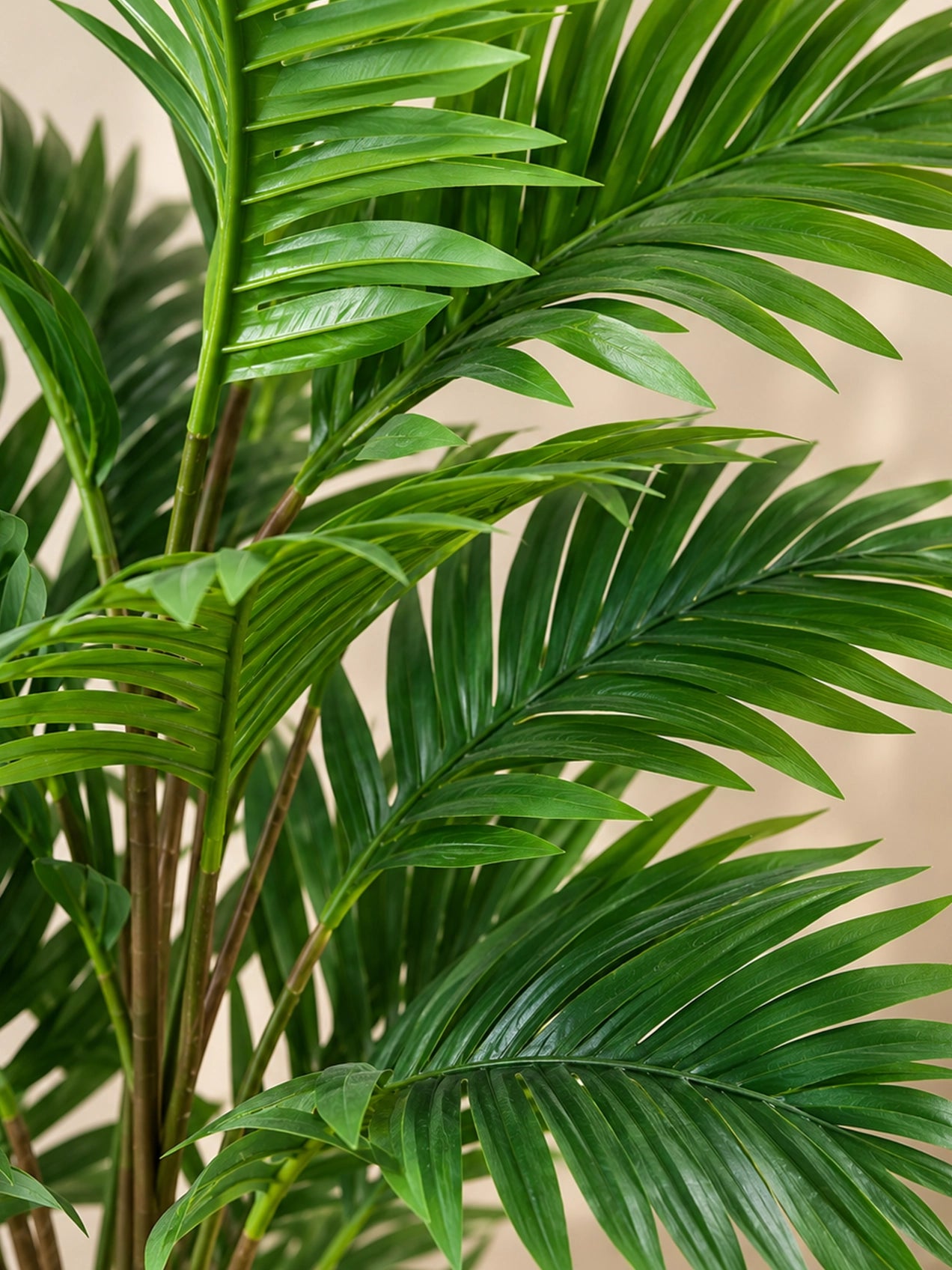 Artificial Areca Palm Plant | 63 cm | 21 Leaves | With Basic Black Pot