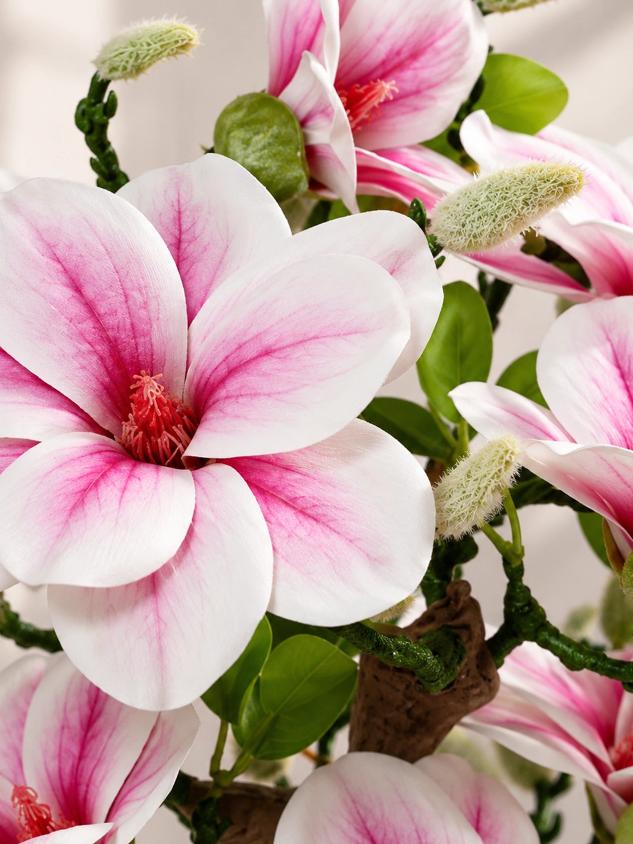Mini Magnolia Flower Tree | Pink | 52 cm
