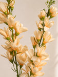 Artificial Orchid Flower Stick | Peach | 106 cm