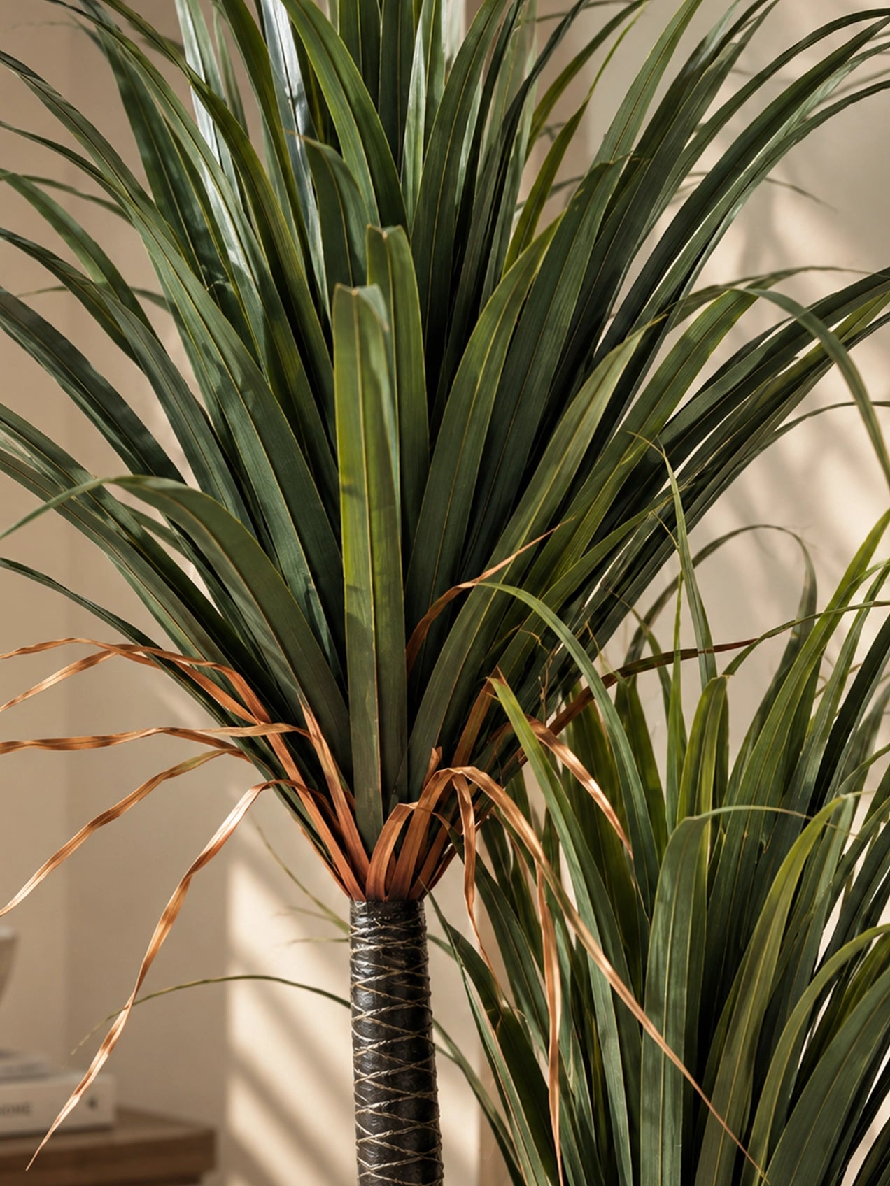 Artificial Yucca Plant | 160 cm | Without Pot