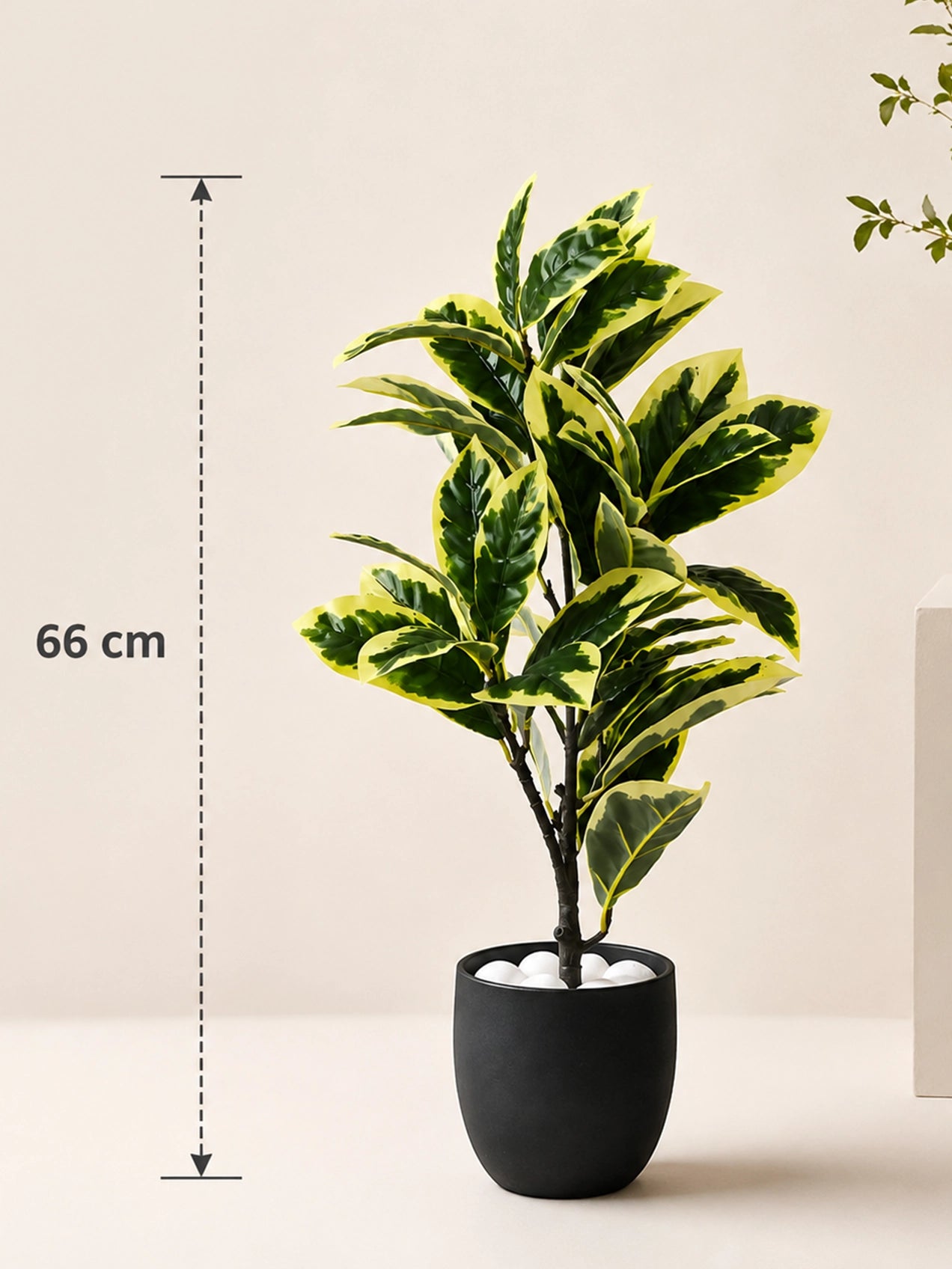 Artificial Pisonia Alba Plant | 66 cm | 30 Leaves | With Basic Pot