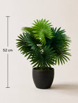 Artificial Fan Palm Plant | Patterned Green Leaves | 52 cm | 12 Leaves | With Basic Black Pot