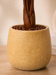 Artificial Tabletop Plant | Autumn | 25 cm | Ceramic Pot