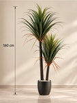 Artificial Yucca Plant | 160 cm | Without Pot