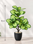 Artificial Dieffenbachia Honeydew Plant | 90 cm | 33 Leaves | With Basic Pot