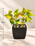 Artificial Money Plant Succulent | Army Green | 18 cm | With Basic Black Pot
