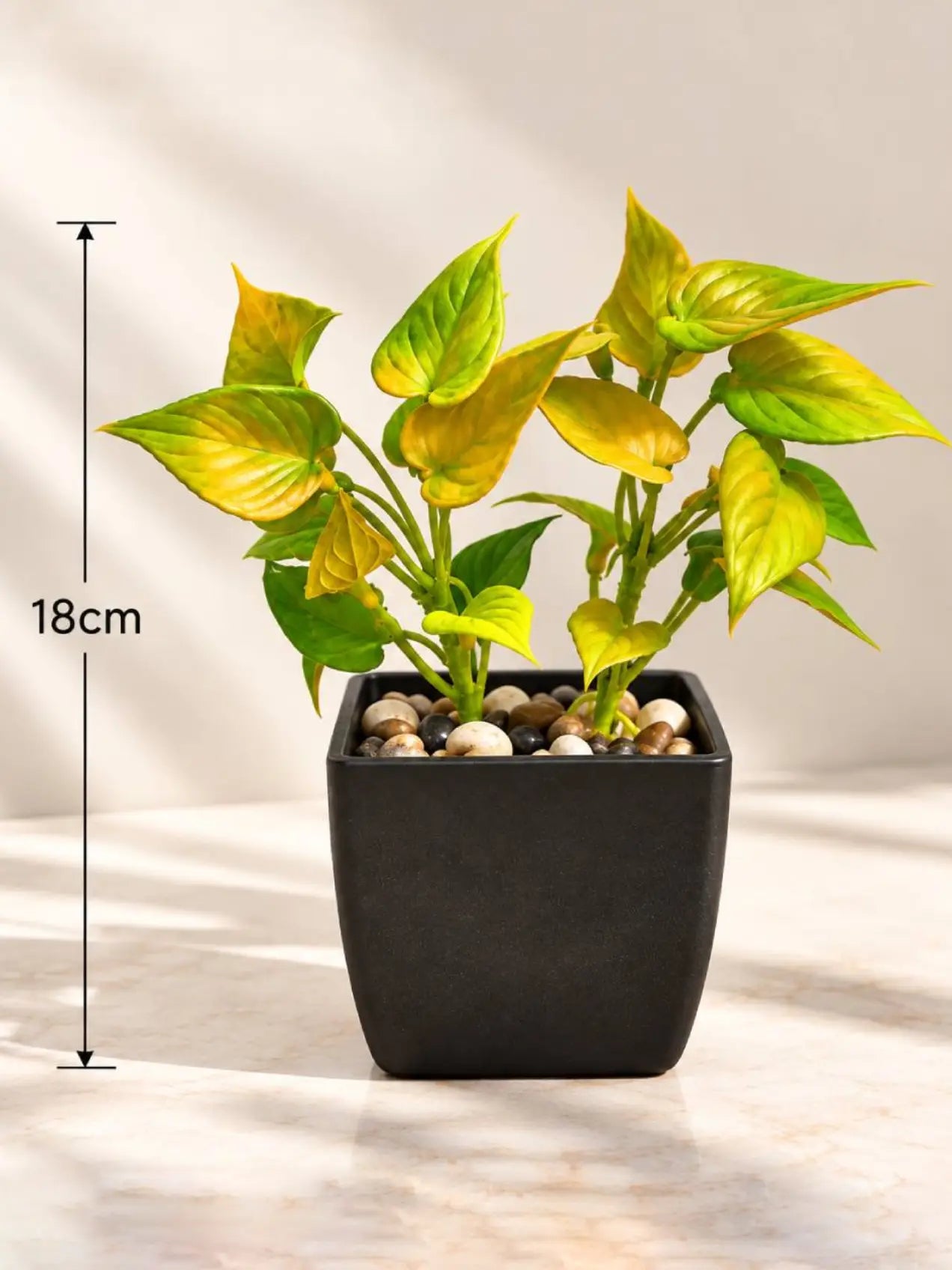 Artificial Money Plant Succulent | Army Green | 18 cm | With Basic Black Pot