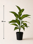 Artificial Ivory Yellow Croton Plant | 74 cm | 26 Leaves | With Basic Pot