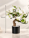 Mini Magnolia Flower Tree | White | 52 cm