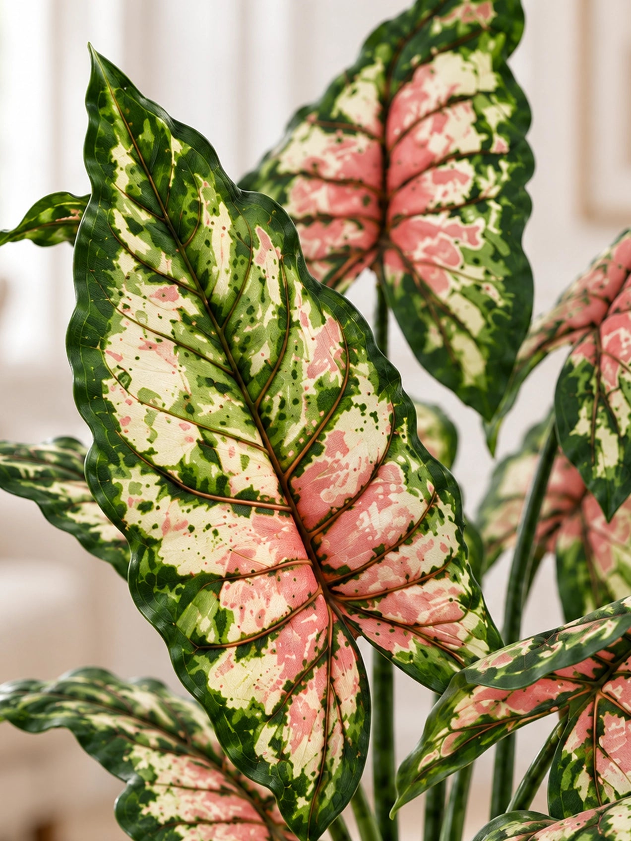 Tropical Beauty Artificial Caladium Plant | 138 cm | 10 Leaves