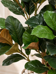 Artificial Croton Tree Plant | Green Leaves | 110 cm | With Basic Pot