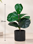 Artificial Fiddle-Leaf Fig Plant | 23 cm | 9 Leaves | With Basic Pot