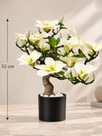 Mini Magnolia Flower Tree | White & Green | 52 cm