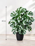 Artificial Monstera Plant | Green-Grey Leaves | 65 cm | 18 Leaves | With Basic Pot
