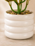 Artificial Tabletop Plant | Light Green | 22 cm