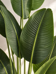 Artificial Banana Plant | 155 cm | With Basic Black Pot