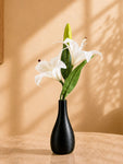 Reed Diffuser with White Lily Stick